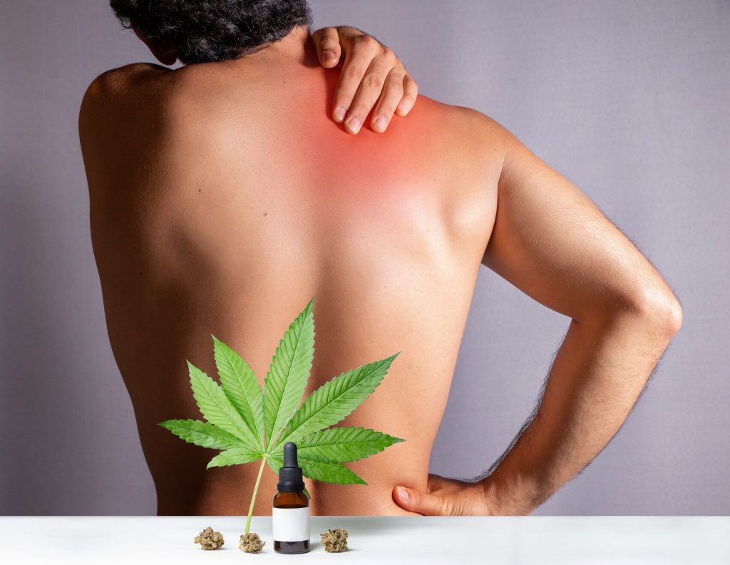 CBD vs Hemp Oil for Post-Workout Muscle Soreness