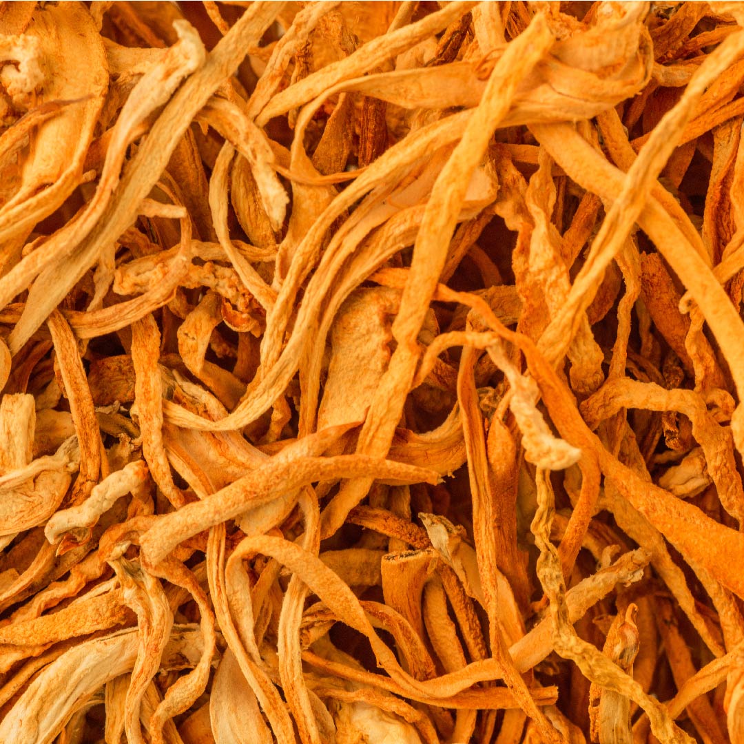 Cordyceps for Adrenal Fatigue: Nature’s Recharge for Energy, Vitality & Stress Recovery