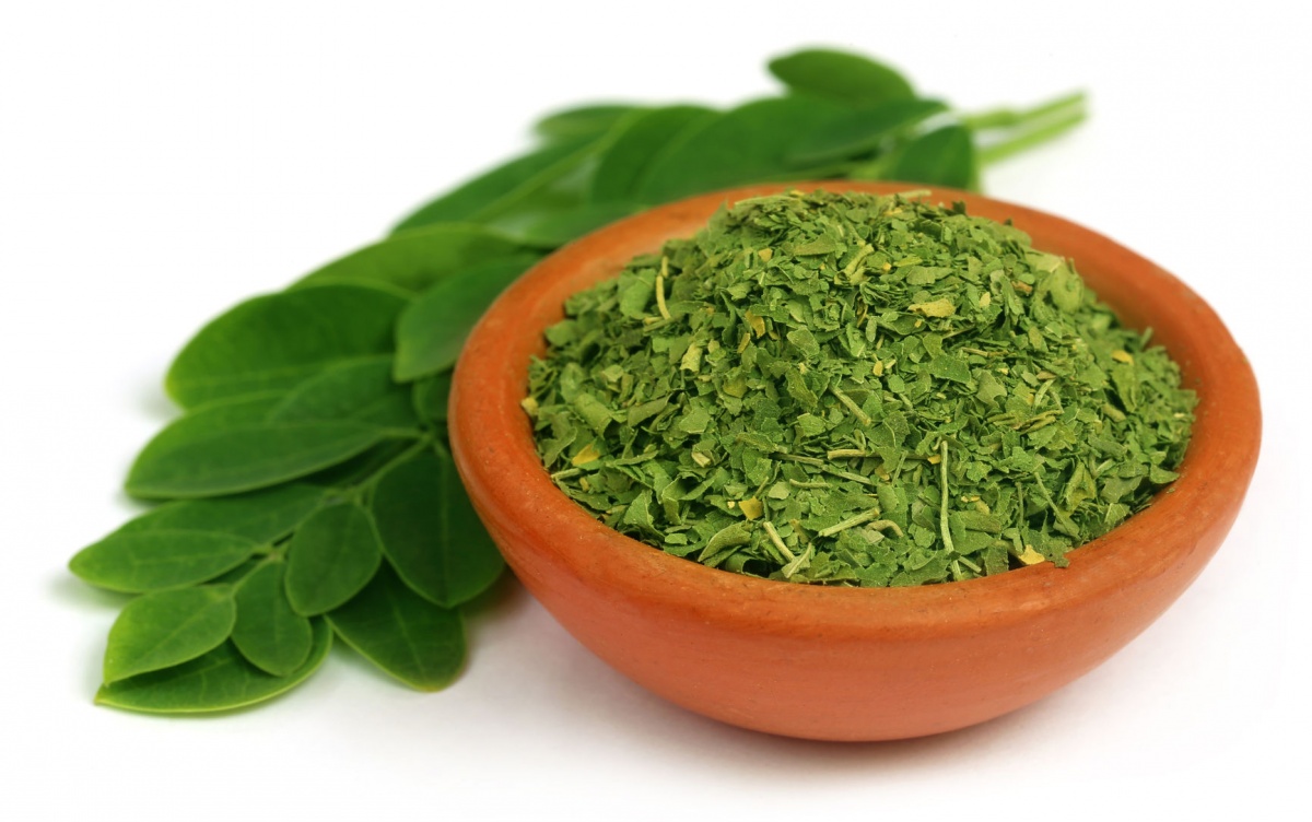 Moringa for Adrenal Fatigue: Supercharge Energy and Stress Recovery Naturally