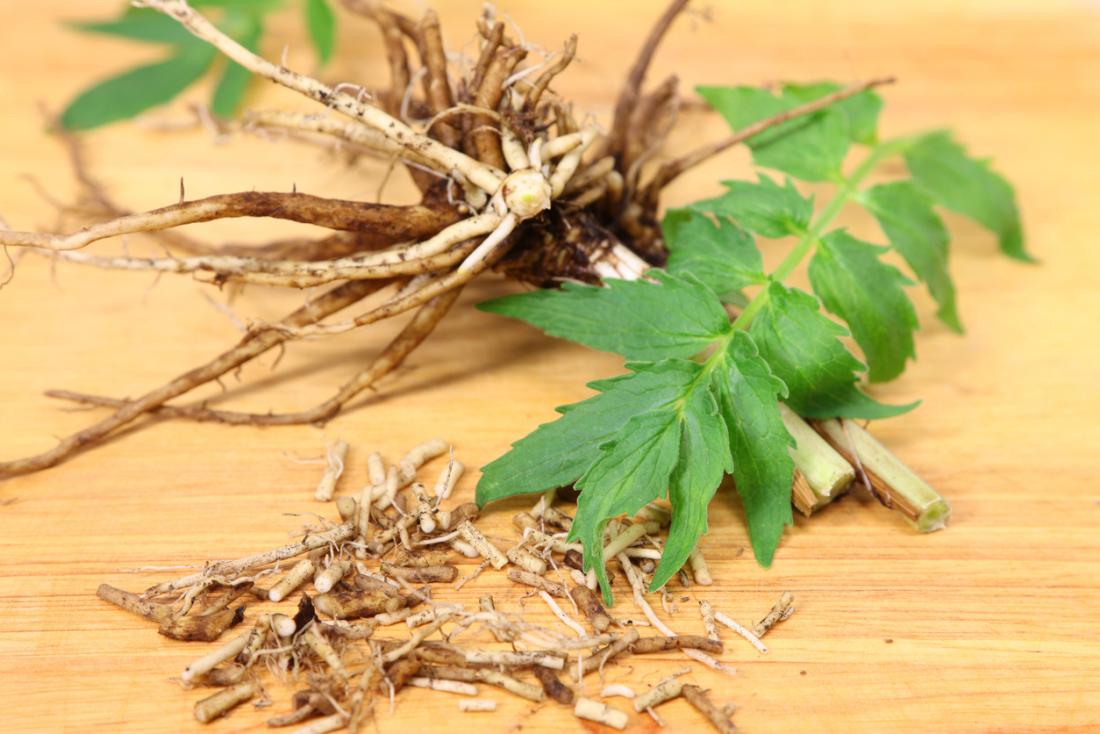 Valerian Root for Adrenal Fatigue: Deep Sleep, Calm Nerves, and Hormonal Balance